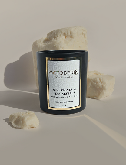 Vela Aromática Piedras Marinas & Eucalipto